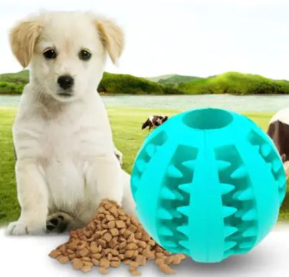 Interactive Dog Toy Ball