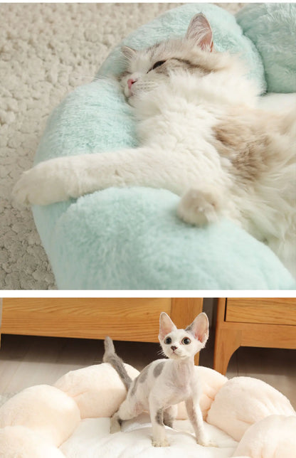 Universal Washable Cat and Dog Bed