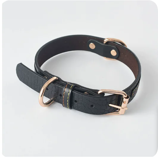 Dog Leash and Collar Set for Pets