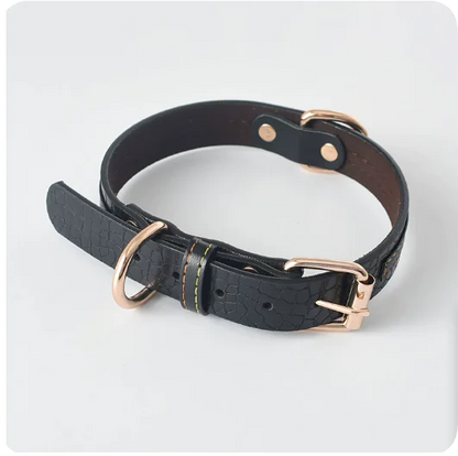 Dog Leash and Collar Set for Pets