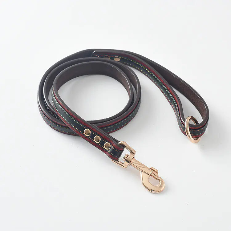 Dog Leash and Collar Set for Pets