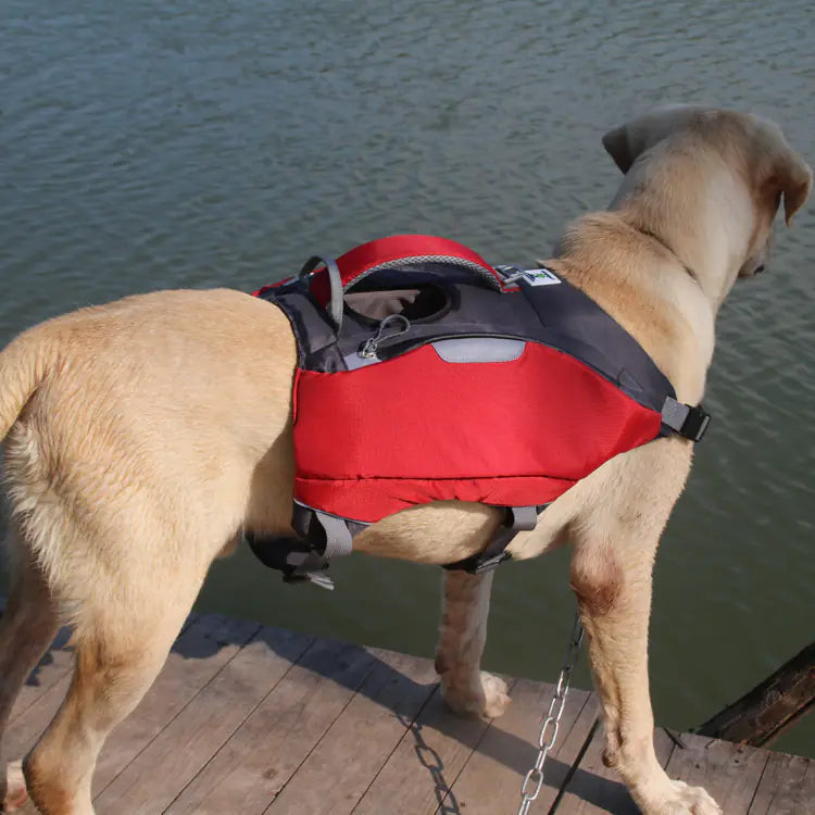 Pet Life Jackets for Safety