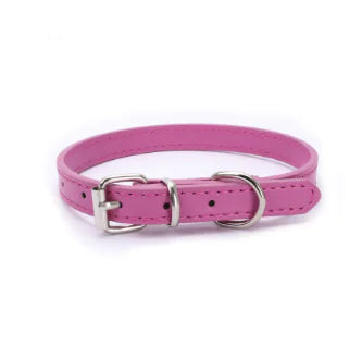 Cat and Dog Collar with Leash