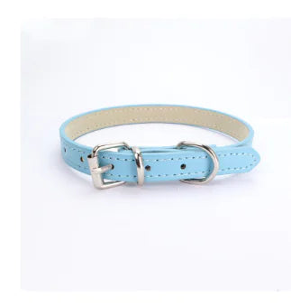 Cat and Dog Collar with Leash