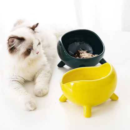 Ceramic Cat Bowl with Neck Support