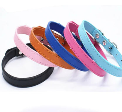 Cat and Dog Collar with Leash