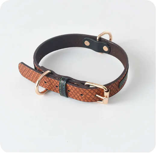 Dog Leash and Collar Set for Pets