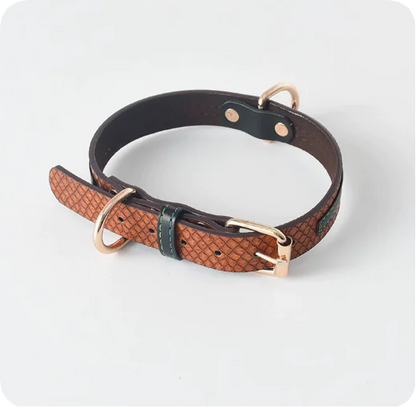 Dog Leash and Collar Set for Pets