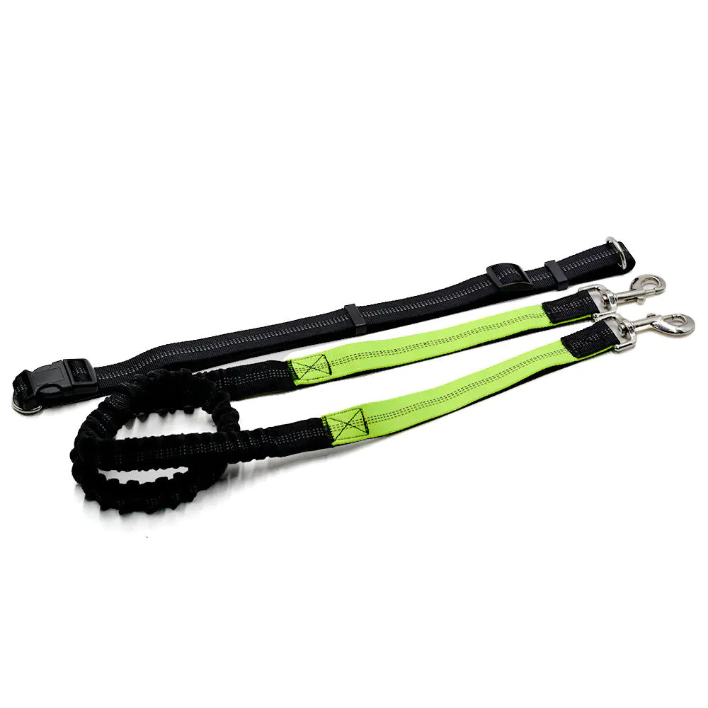 Pet Leash Set with Elastic Leash and Belt