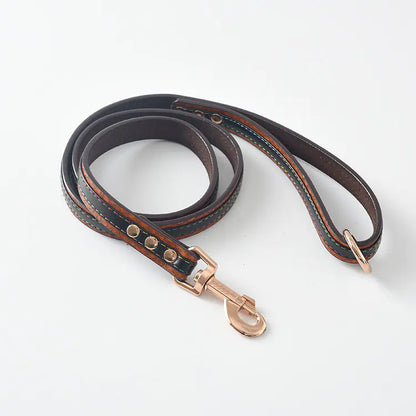Dog Leash and Collar Set for Pets