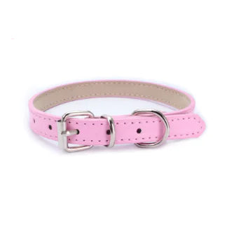 Cat and Dog Collar with Leash
