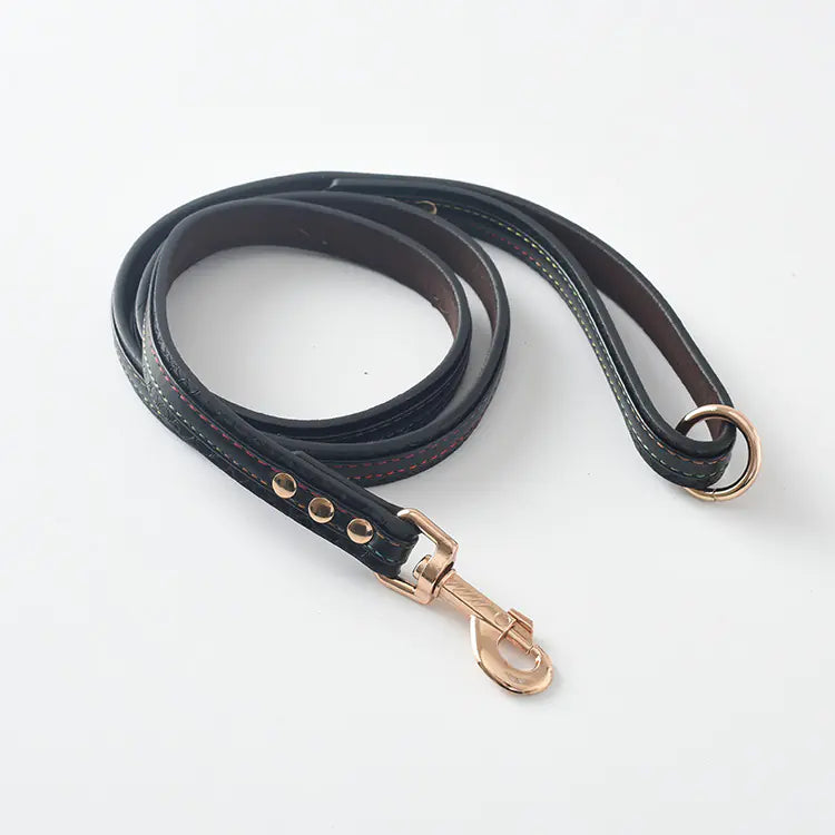 Dog Leash and Collar Set for Pets