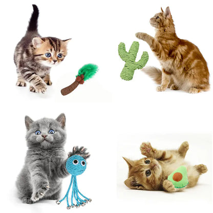 Cactus Cat Toy and Avocado Pet Supplies