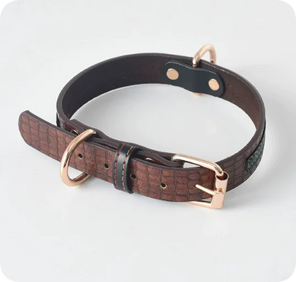 Dog Leash and Collar Set for Pets