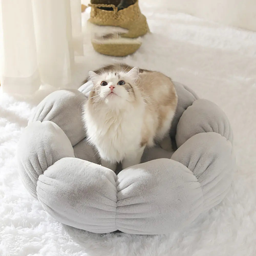 Universal Washable Cat and Dog Bed