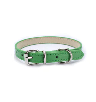Cat and Dog Collar with Leash