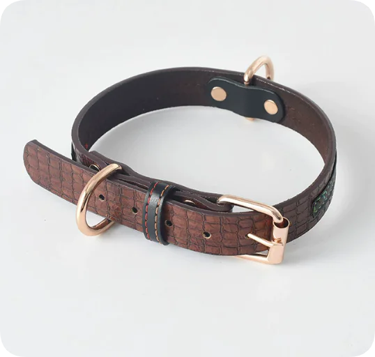 Dog Leash and Collar Set for Pets