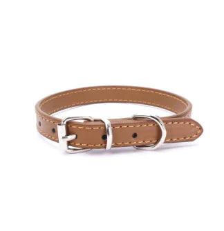 Cat and Dog Collar with Leash