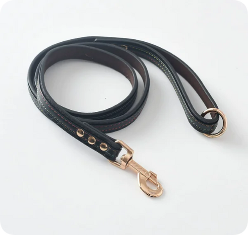 Dog Leash and Collar Set for Pets
