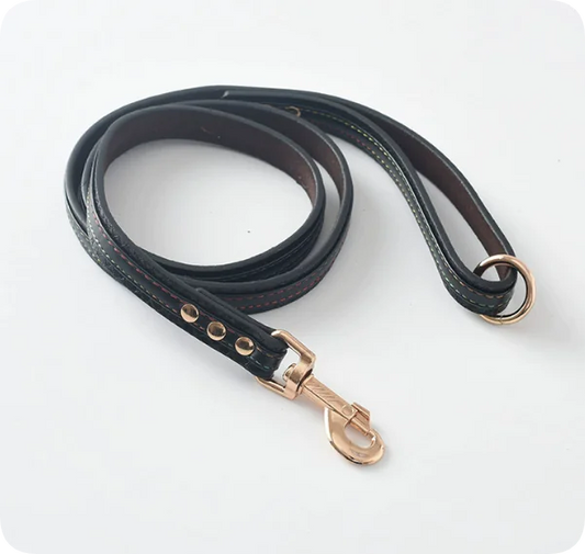 Dog Leash and Collar Set for Pets