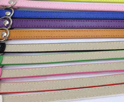 Cat and Dog Collar with Leash