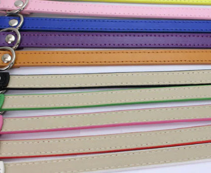 Cat and Dog Collar with Leash