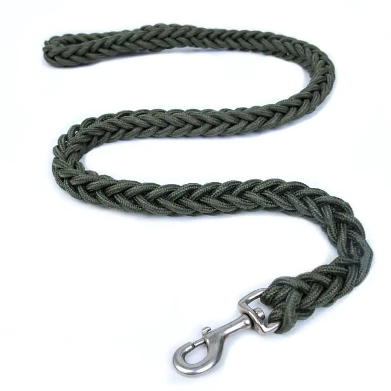 Large Eight-Strand Braided Nylon Dog Leash
