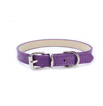 Cat and Dog Collar with Leash