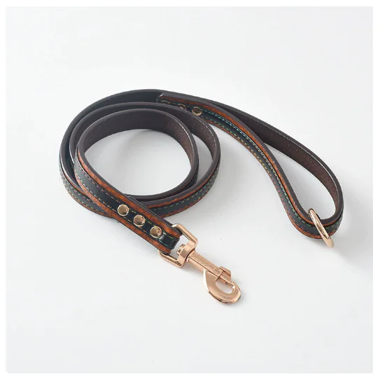 Dog Leash and Collar Set for Pets