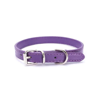 Cat and Dog Collar with Leash
