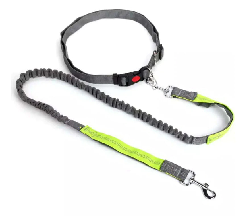 Pet Leash Set with Elastic Leash and Belt