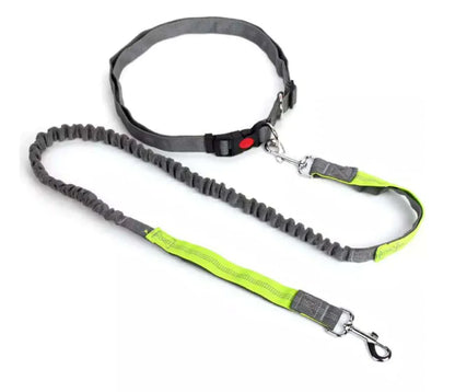 Pet Leash Set with Elastic Leash and Belt