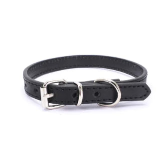 Cat and Dog Collar with Leash