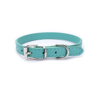 Cat and Dog Collar with Leash