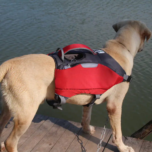 Pet Life Jackets for Safety