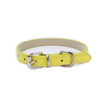 Cat and Dog Collar with Leash