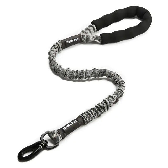 Cushioned Flexible Dog Leash with Elastic Buffering
