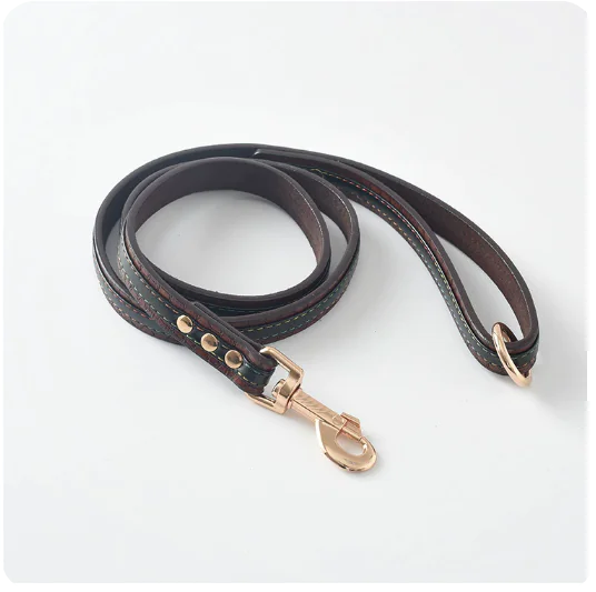 Dog Leash and Collar Set for Pets