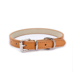 Cat and Dog Collar with Leash