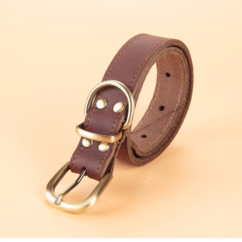 Leather Dog Leash with Collar Attachment