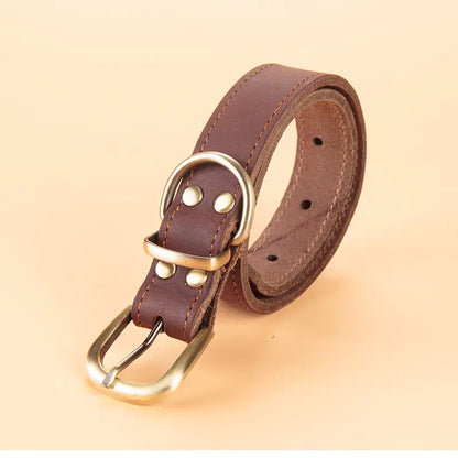 Leather Dog Leash with Collar Attachment