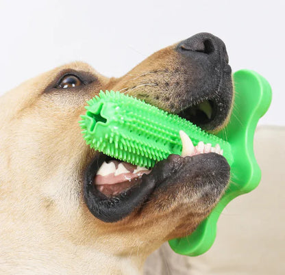 Molar Stick Dog Toy
